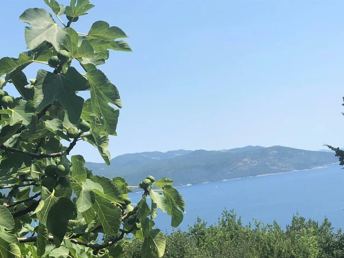 Holiday Home Sea View Brsec Croatia